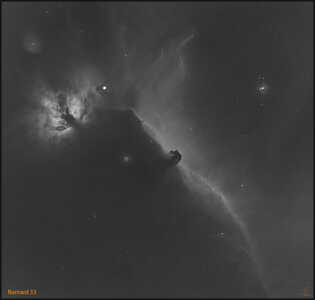 01 HorseHead v1