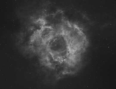 Rosette